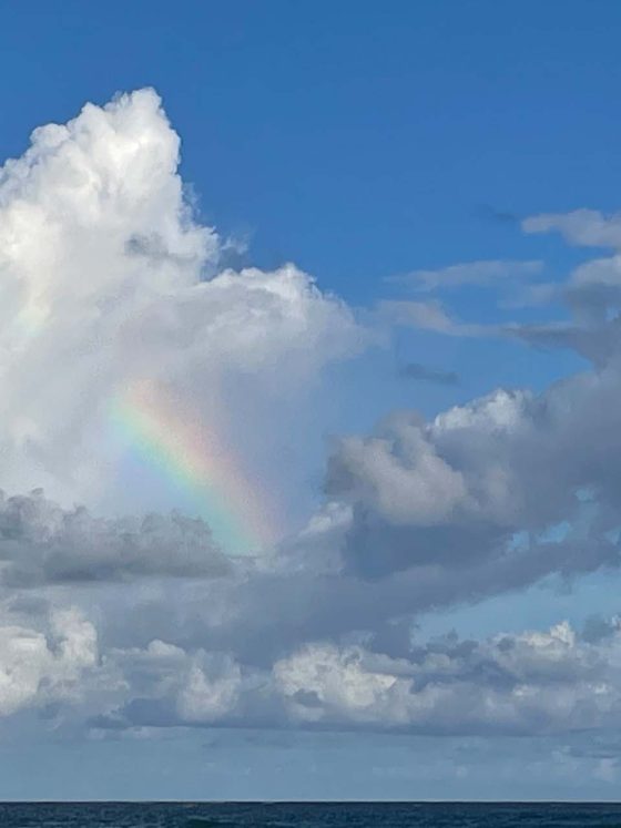 Ocean Rainbow