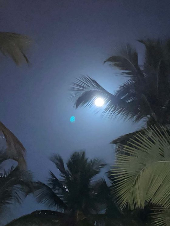 Ocean Moonlight