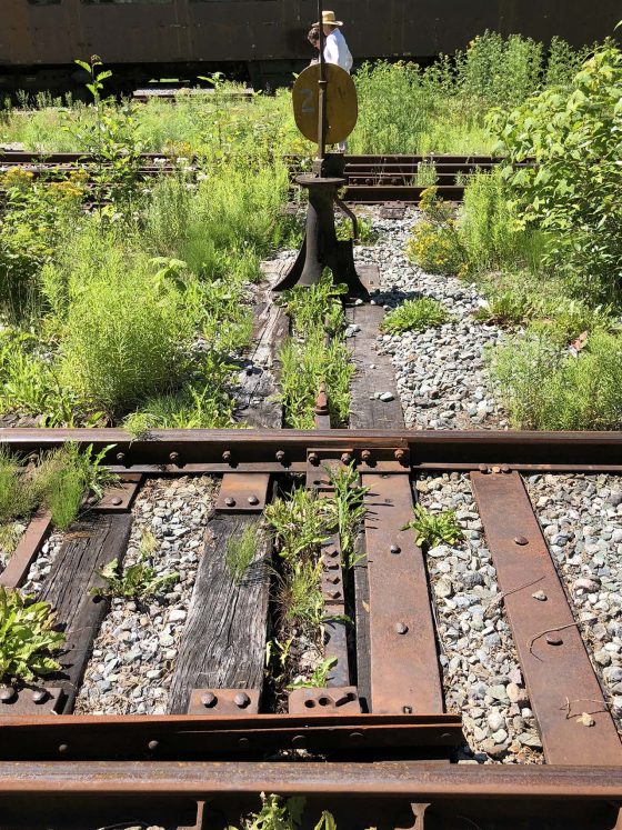 Train Yard